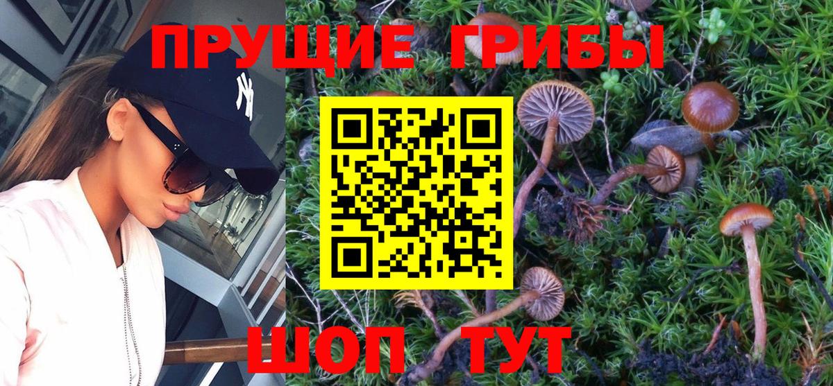 Галлюциногенные грибы мицелий Семилуки