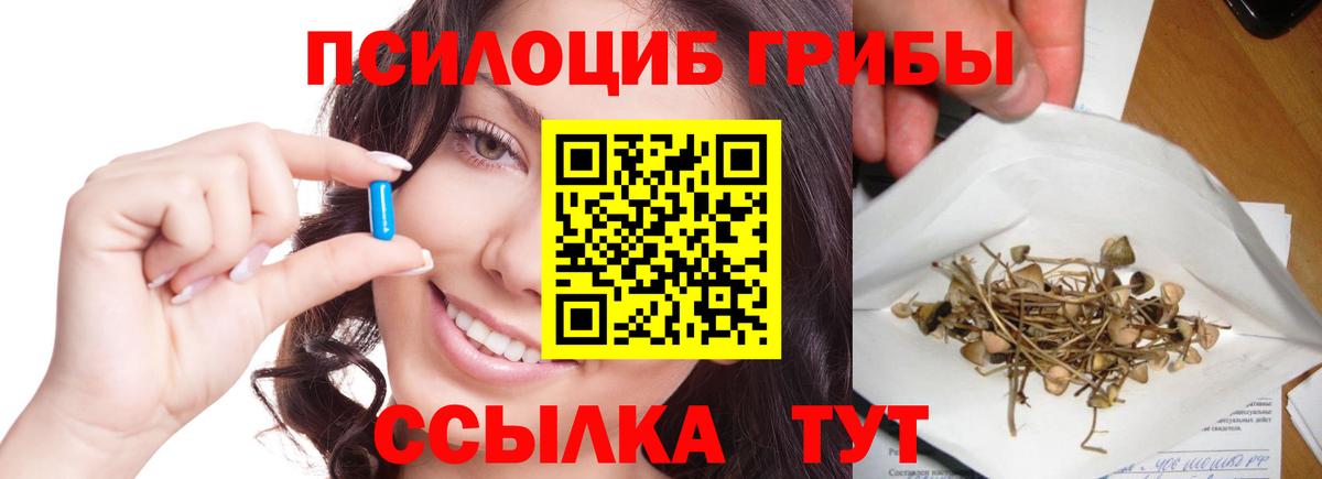 Семилуки  как найти закладки  Вход с VPN  Псилоцибиновые грибы Cubensis 